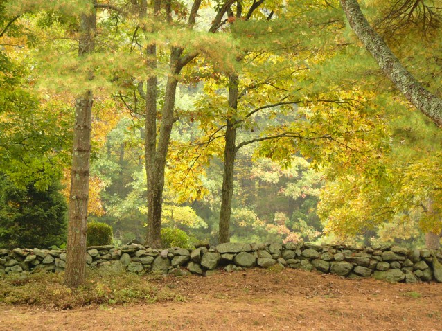 New England Stone Wall in Autumn (Preview)